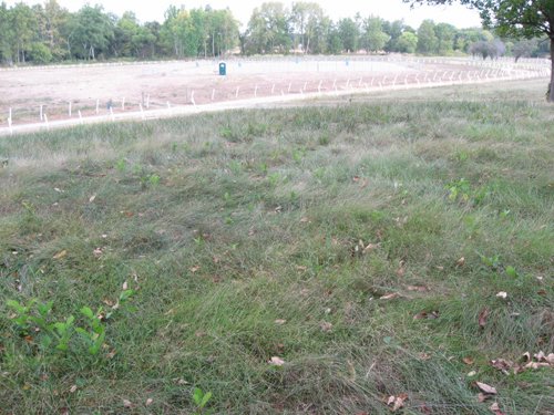 Property photo 5 - 80 Acres Offered in 4 Tracts - Horse Farm